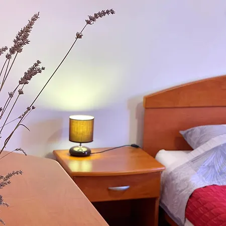 Apartment Sally Cizici